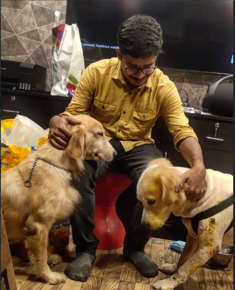Vet with two golden retrievers