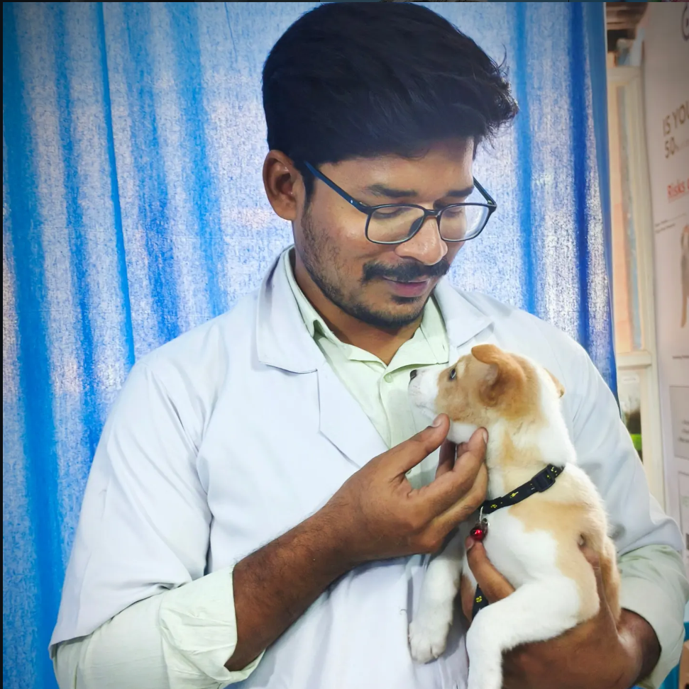 Vet holding a small puppy
